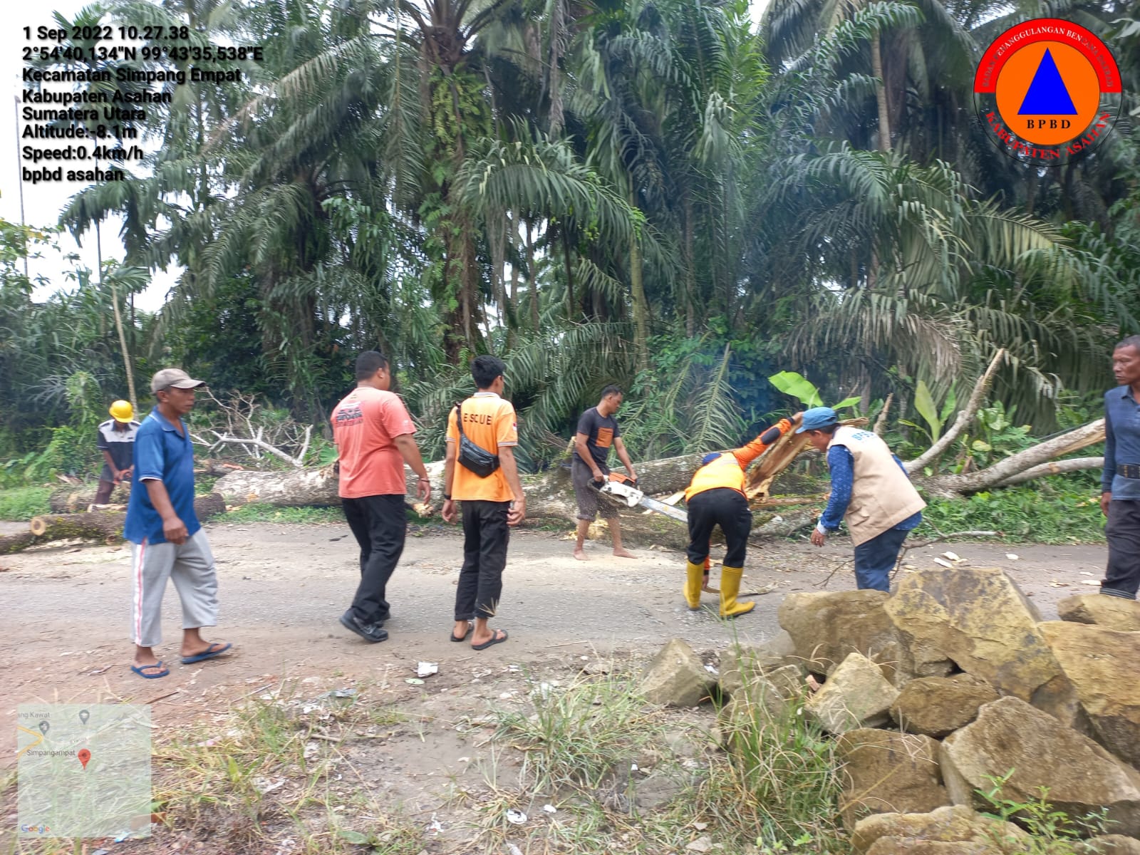 Pelaksanaan pemotongan/pemaprasan pohon di pinggir jalan umum Dsn VIII Desa Simpang Empat.